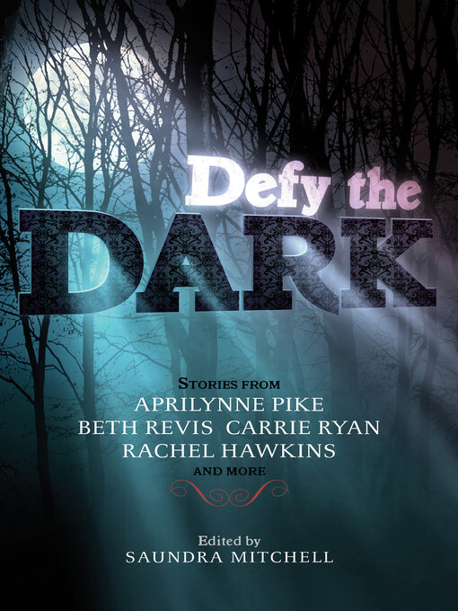 Title details for Defy the Dark by Saundra Mitchell - Wait list